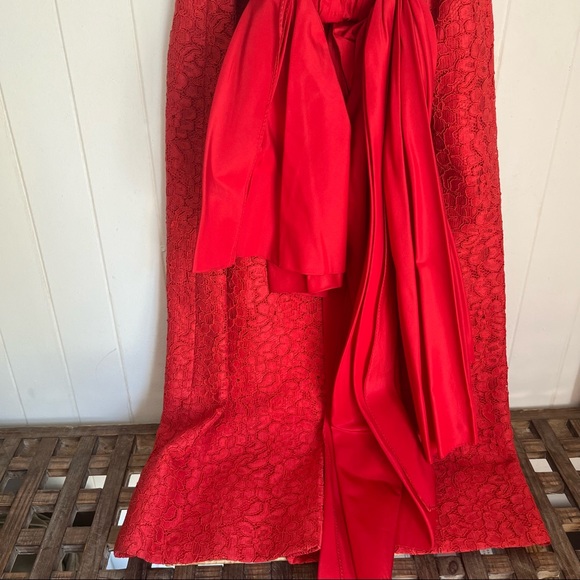 Vintage Red Lace Dress - Picture 6 of 13